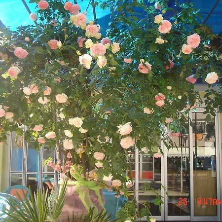Hotel Da Giovanna 3*